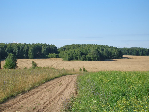 25474 (a): :1024x768
